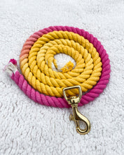 Load image into Gallery viewer, 4ft long 12mm Rhubarb & Custard Ombre Hand Dyed Rope Lead