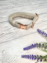 Load image into Gallery viewer, Light Grey Luxe Velvet Collar