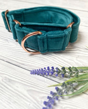 Load image into Gallery viewer, Teal Luxe Velvet Martingale collar