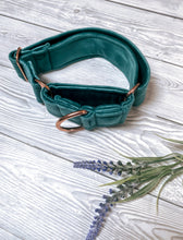 Load image into Gallery viewer, Teal Luxe Velvet Martingale collar
