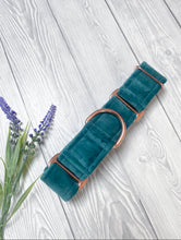 Load image into Gallery viewer, Teal Luxe Velvet Martingale collar