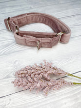 Load image into Gallery viewer, Blush Luxe Velvet Martingale collar