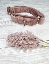 Load image into Gallery viewer, Blush Luxe Velvet Martingale collar