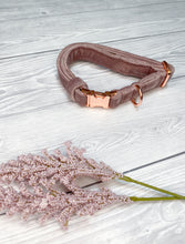 Load image into Gallery viewer, Blush Luxe Velvet Collar