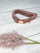 Load image into Gallery viewer, Blush Luxe Velvet Collar