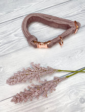 Load image into Gallery viewer, Blush Luxe Velvet Collar