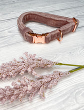 Load image into Gallery viewer, Blush Luxe Velvet Collar