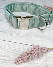 Load image into Gallery viewer, Duck Egg Luxe Velvet Collar