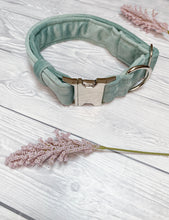 Load image into Gallery viewer, Duck Egg Luxe Velvet Collar