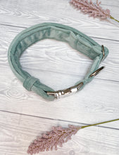 Load image into Gallery viewer, Duck Egg Luxe Velvet Collar