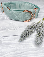 Load image into Gallery viewer, Duck Egg Luxe Velvet Martingale collar