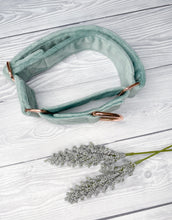 Load image into Gallery viewer, Duck Egg Luxe Velvet Martingale collar