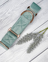 Load image into Gallery viewer, Duck Egg Luxe Velvet Martingale collar