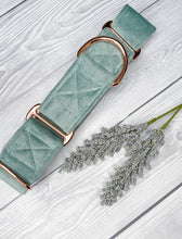 Load image into Gallery viewer, Duck Egg Luxe Velvet Martingale collar