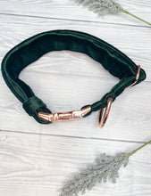 Load image into Gallery viewer, Green Luxe Velvet Collar