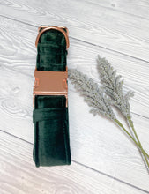 Load image into Gallery viewer, Green Luxe Velvet Collar