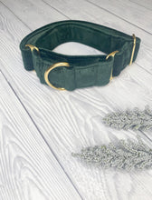Load image into Gallery viewer, Green Luxe Velvet Martingale collar