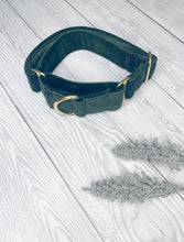 Load image into Gallery viewer, Green Luxe Velvet Martingale collar