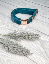 Load image into Gallery viewer, Teal Luxe Velvet Collar