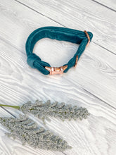 Load image into Gallery viewer, Teal Luxe Velvet Collar