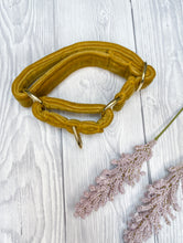 Load image into Gallery viewer, Mustard Luxe Velvet Martingale collar