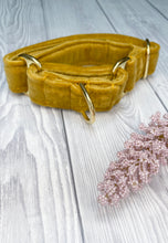 Load image into Gallery viewer, Mustard Luxe Velvet Martingale collar