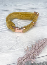 Load image into Gallery viewer, Mustard Luxe Velvet Collar