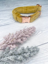 Load image into Gallery viewer, Mustard Luxe Velvet Collar