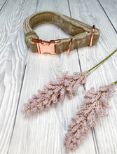 Load image into Gallery viewer, Beige Luxe Velvet Collar
