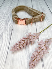 Load image into Gallery viewer, Beige Luxe Velvet Collar