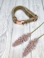 Load image into Gallery viewer, Beige Luxe Velvet Collar
