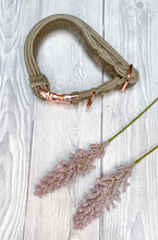 Load image into Gallery viewer, Beige Luxe Velvet Collar