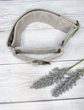 Load image into Gallery viewer, Light Grey Luxe Velvet Martingale collar