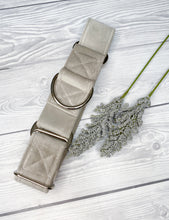 Load image into Gallery viewer, Light Grey Luxe Velvet Martingale collar
