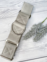 Load image into Gallery viewer, Light Grey Luxe Velvet Martingale collar