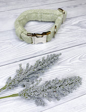 Load image into Gallery viewer, Gooseberry Tweed Collar