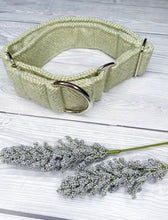Load image into Gallery viewer, Gooseberry Tweed Martingale collar