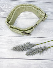 Load image into Gallery viewer, Gooseberry Tweed Martingale collar