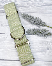Load image into Gallery viewer, Gooseberry Tweed Martingale collar
