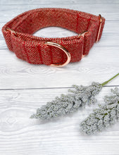 Load image into Gallery viewer, Pomegranate Tweed Martingale collar