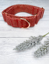 Load image into Gallery viewer, Pomegranate Tweed Martingale collar