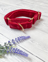 Load image into Gallery viewer, Red Luxe Velvet Martingale collar