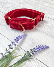 Load image into Gallery viewer, Red Luxe Velvet Martingale collar