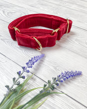 Load image into Gallery viewer, Red Luxe Velvet Martingale collar