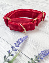 Load image into Gallery viewer, Red Luxe Velvet Martingale collar