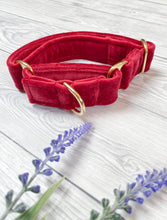 Load image into Gallery viewer, Red Luxe Velvet Martingale collar