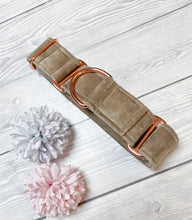 Load image into Gallery viewer, Beige Luxe Velvet Martingale collar