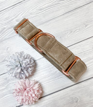 Load image into Gallery viewer, Beige Luxe Velvet Martingale collar