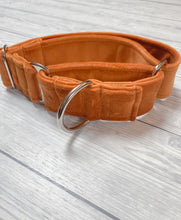 Load image into Gallery viewer, Marmalade Luxe Velvet Martingale collar