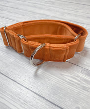 Load image into Gallery viewer, Marmalade Luxe Velvet Martingale collar